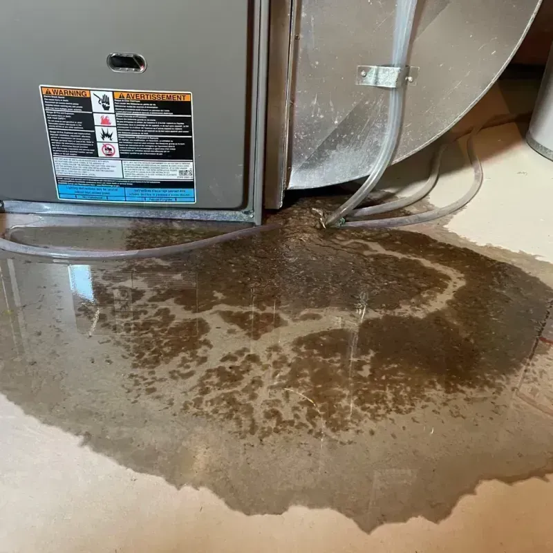 Appliance Leak Cleanup in Barrington, IL